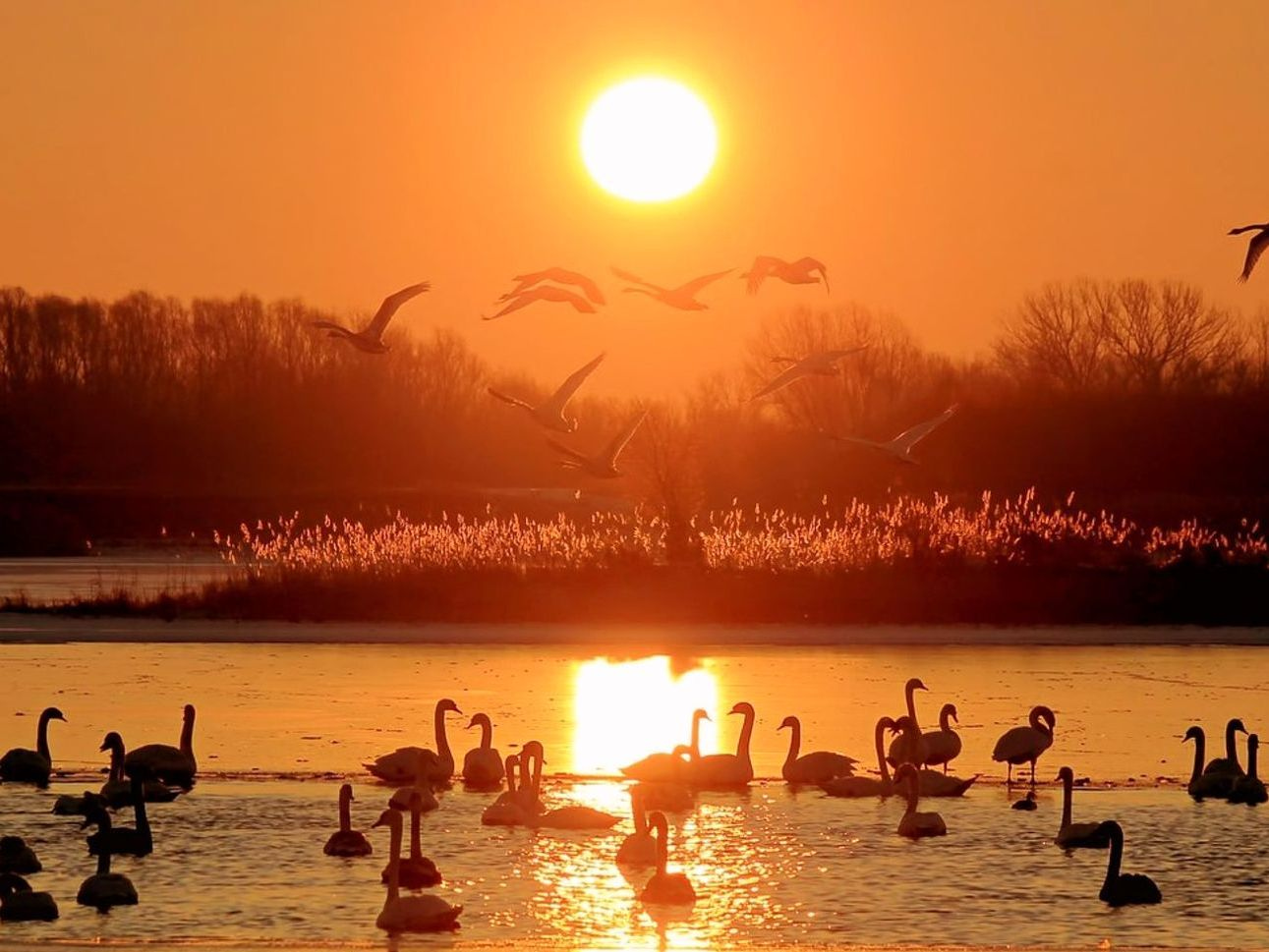 Superficie di ghiaccio cristallino all'alba su un lago di montagna